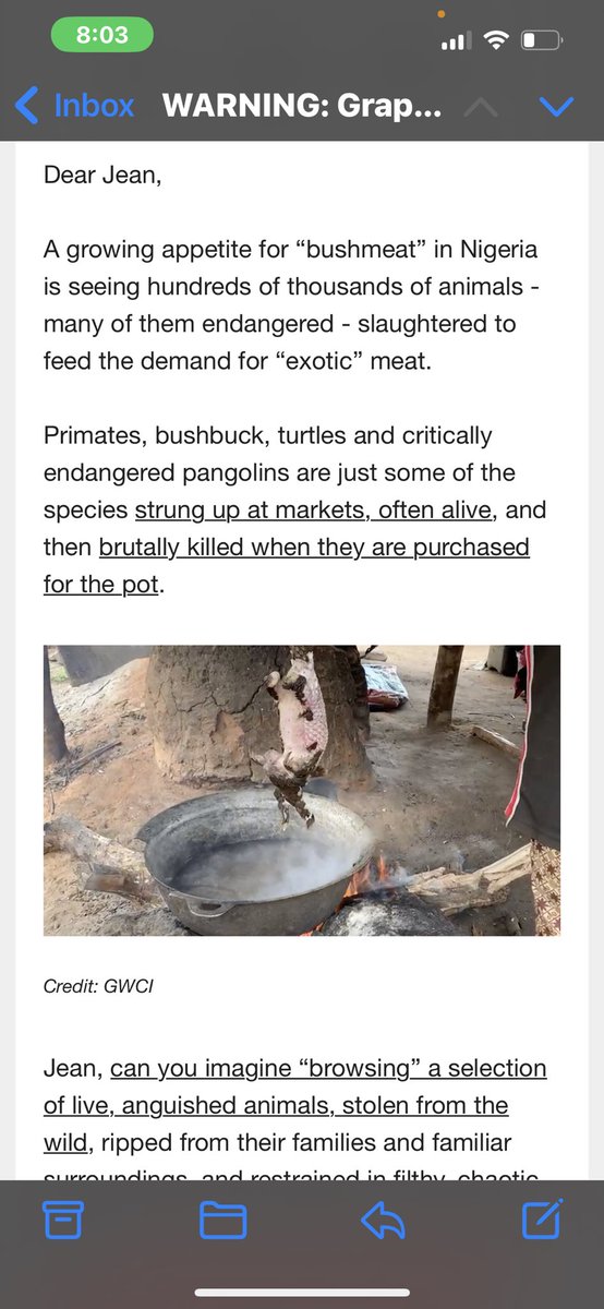 TheCrow_Wolf's tweet photo. @TheO2 @Nigeria Maybe do something about this #Nigeria #AnimalAbuse #disgusting https://t.co/vqZwmHwk1t
