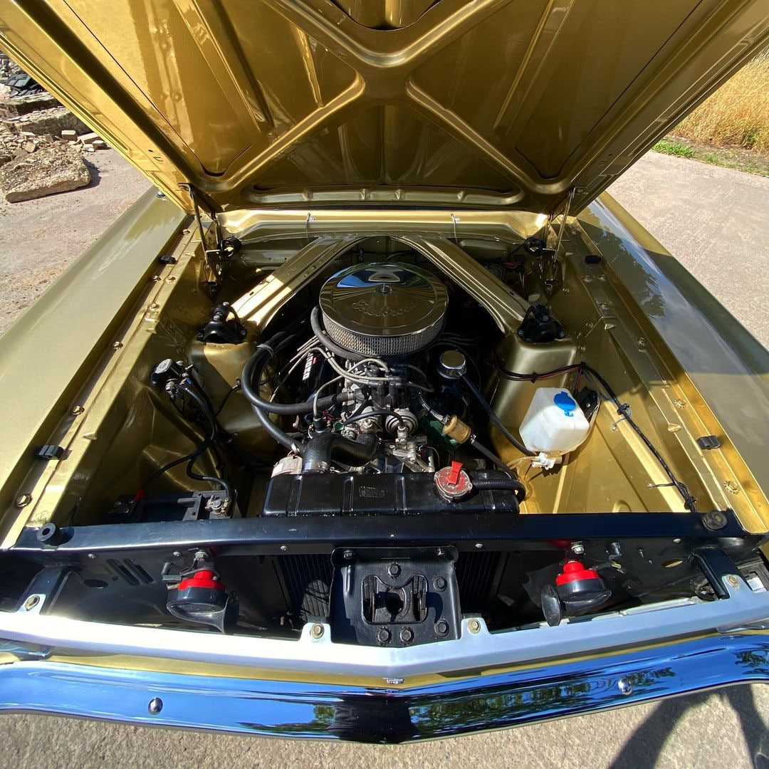 Xuemei52000's tweet photo. 1965 Ford Falcon🩷🩷🩷
#ford #mustang #f #cars #fordperformance #x #s #car #toyota #bmw #carsofinstagram #fordmustang #chevy #v #chevrolet #dodge #audi #honda #mk #gt #offroad #nissan #turbo #mercedes #carporn #fordf #mustanggt #fordracing #trucks #st https://t.co/yfeOh8dJQi
