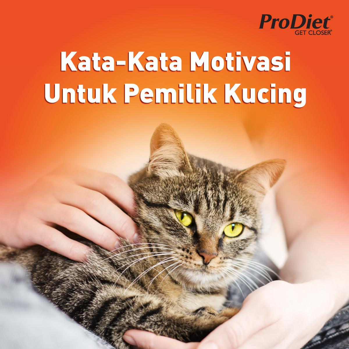 prodietmy's tweet photo. Percayalah! Si Manja akan lebih sayangkan anda.

#ProDietMY https://t.co/19eeAn9dD7
