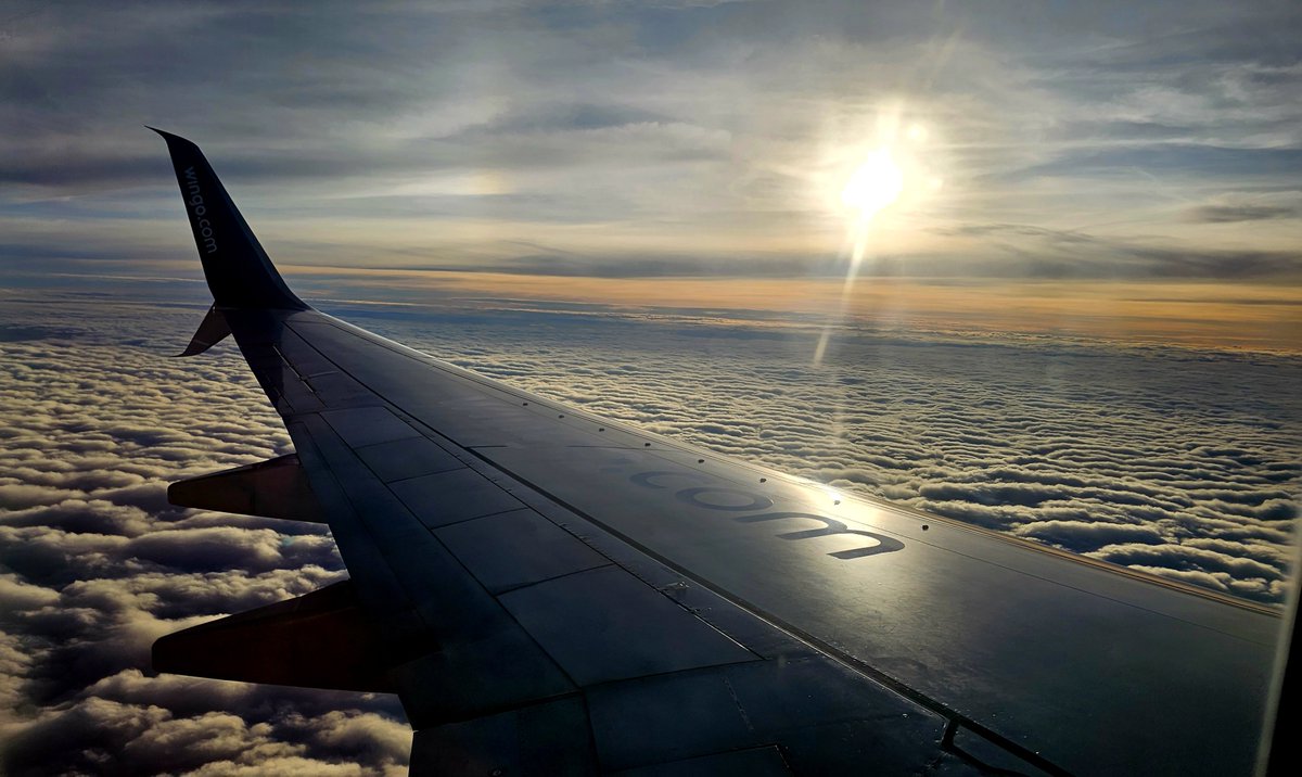 El Programador Senior tweet media