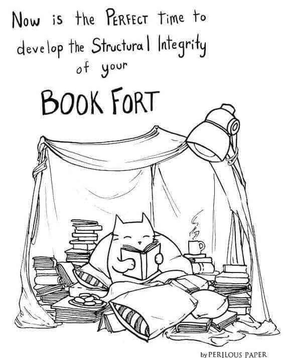 JLM_Writes's tweet photo. I have a book suggestion to add to your #bookfort 's collection ๐ #books #reading https://t.co/8CY7yzio6A