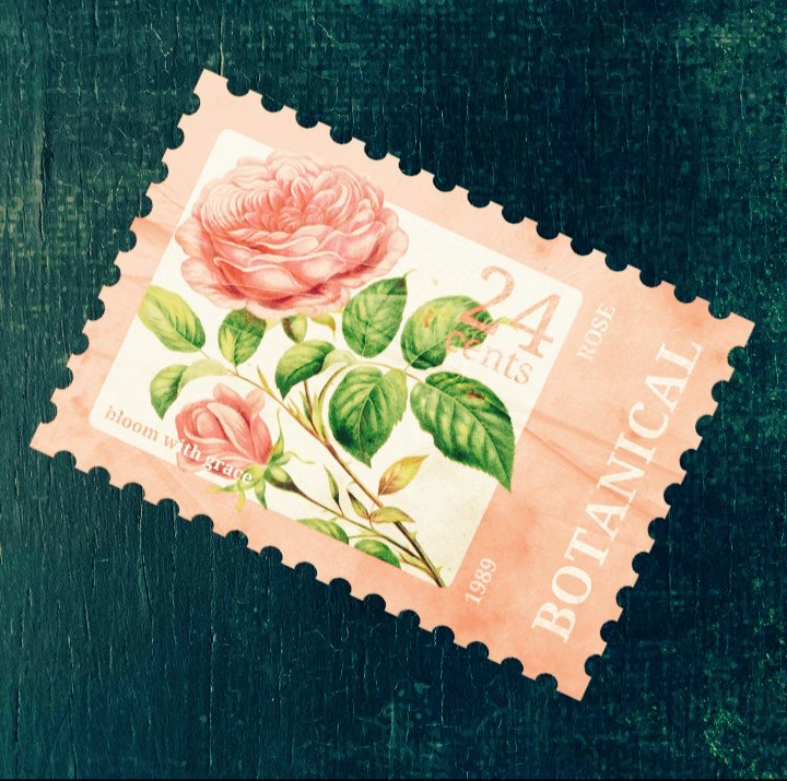 lunaroracle's tweet image. 