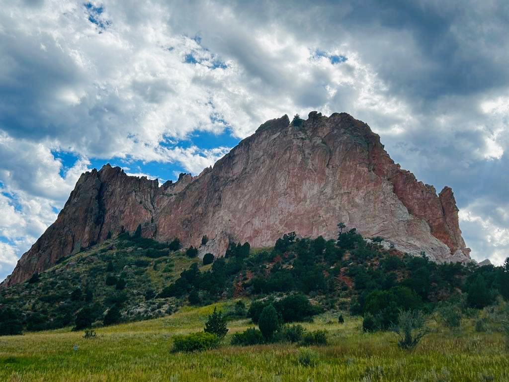 Hillary Snapp tweet media