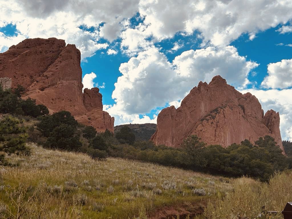 Hillary Snapp tweet media