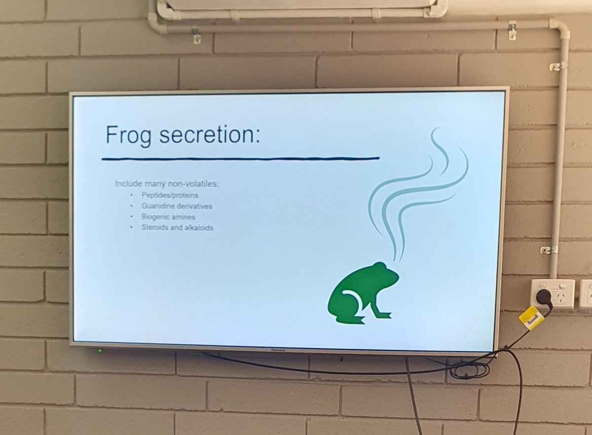 New favourite lab presentation: inspired by a paper related to her MSc work and some very dubious clipart, Eliza summarised frog secretion scents. I'd not anticipated frogs would smell like a hint of electrical fire, but here we are 👃🐸🔥