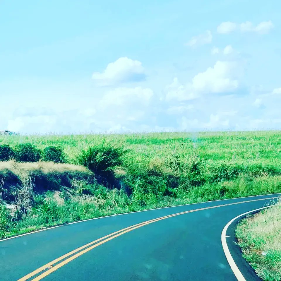 MdaIntelligence's tweet image. MDA Intelligence Investigative Services: 
Operação Paraíso