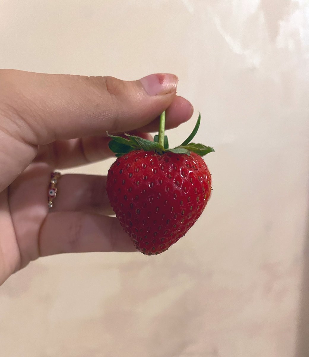 regadu26's tweet photo. 🍓 https://t.co/gnZqEPAe87