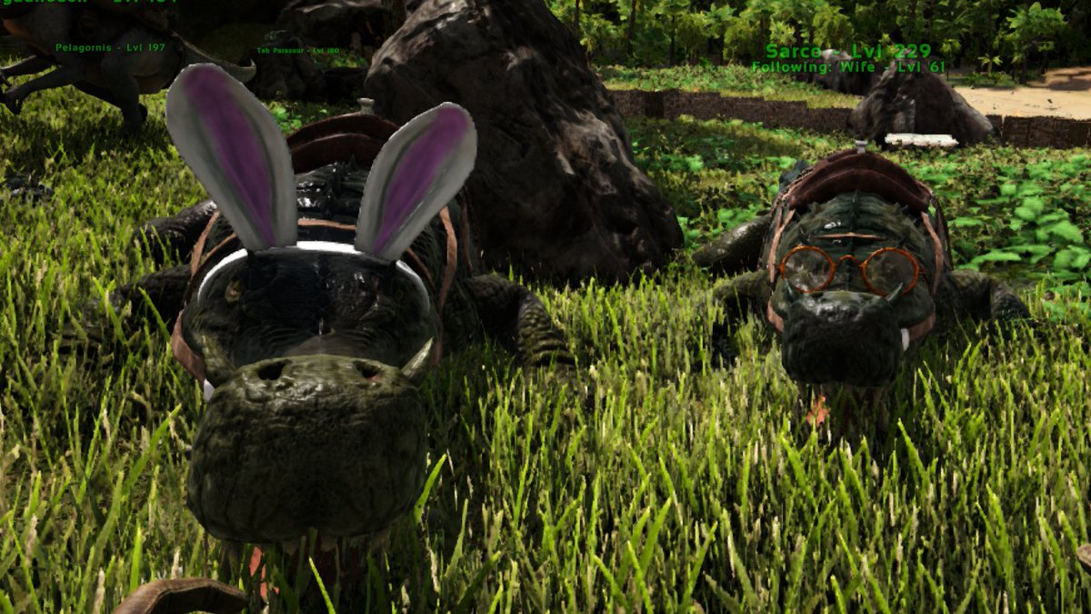 _vesryne's tweet photo. Mr. &amp; Mrs Crocodile 😂#ark #gamergirl #gaming #gamingcommunity  #crocodile #discord #Steam #PCGamer https://t.co/B5x2X92ILi