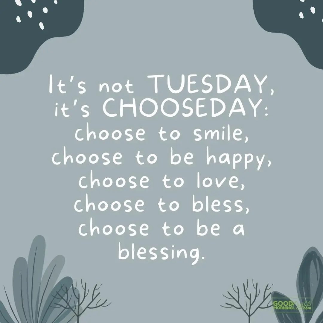 ...Have a happy day, ya'll. ✌🏾🫶🏾