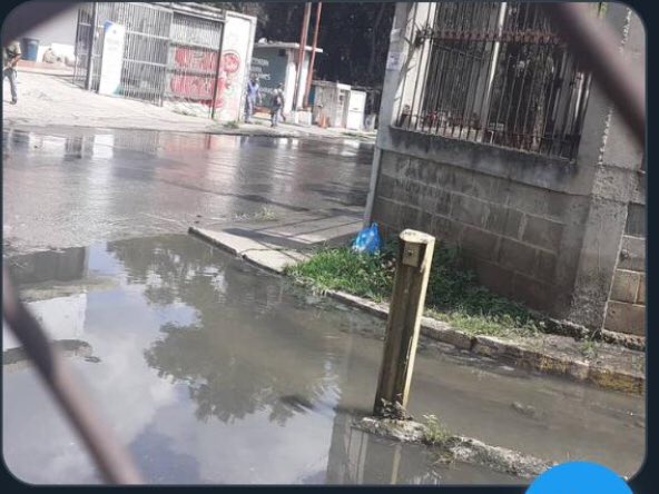 cargadeportiva's tweet photo. #Respetoalacomunidad
#CocheDenuncia
La salud de los habitantes de la Urb Delgado Chalbaud en Coche pende de un hilo,las aguas estancadas son un hervidero de enfermedades que les acecha ante la mirada indiferente de @gestionperfecta pronto se disfrazarán de ovejas para pedir votos https://t.co/uXhiARFF5L