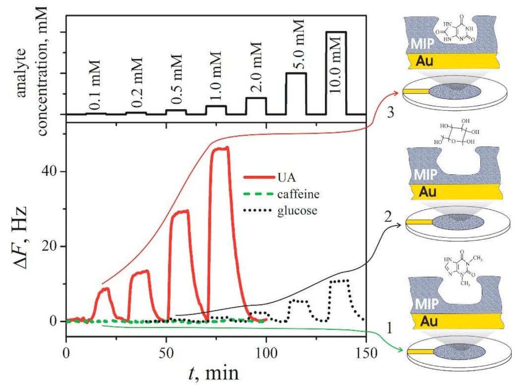 Sensors_MDPI's tweet image. #paperfromEBM
Electrochemically Deposited Molecularly Imprinted Polymer-Based Sensors
mdpi.com/1424-8220/22/3…
#ElectrochemicalDeposition #Immunosensors #MolecularlyImprintedPolymer #MIPs #Biosensors
#ElectrochemicalSensors