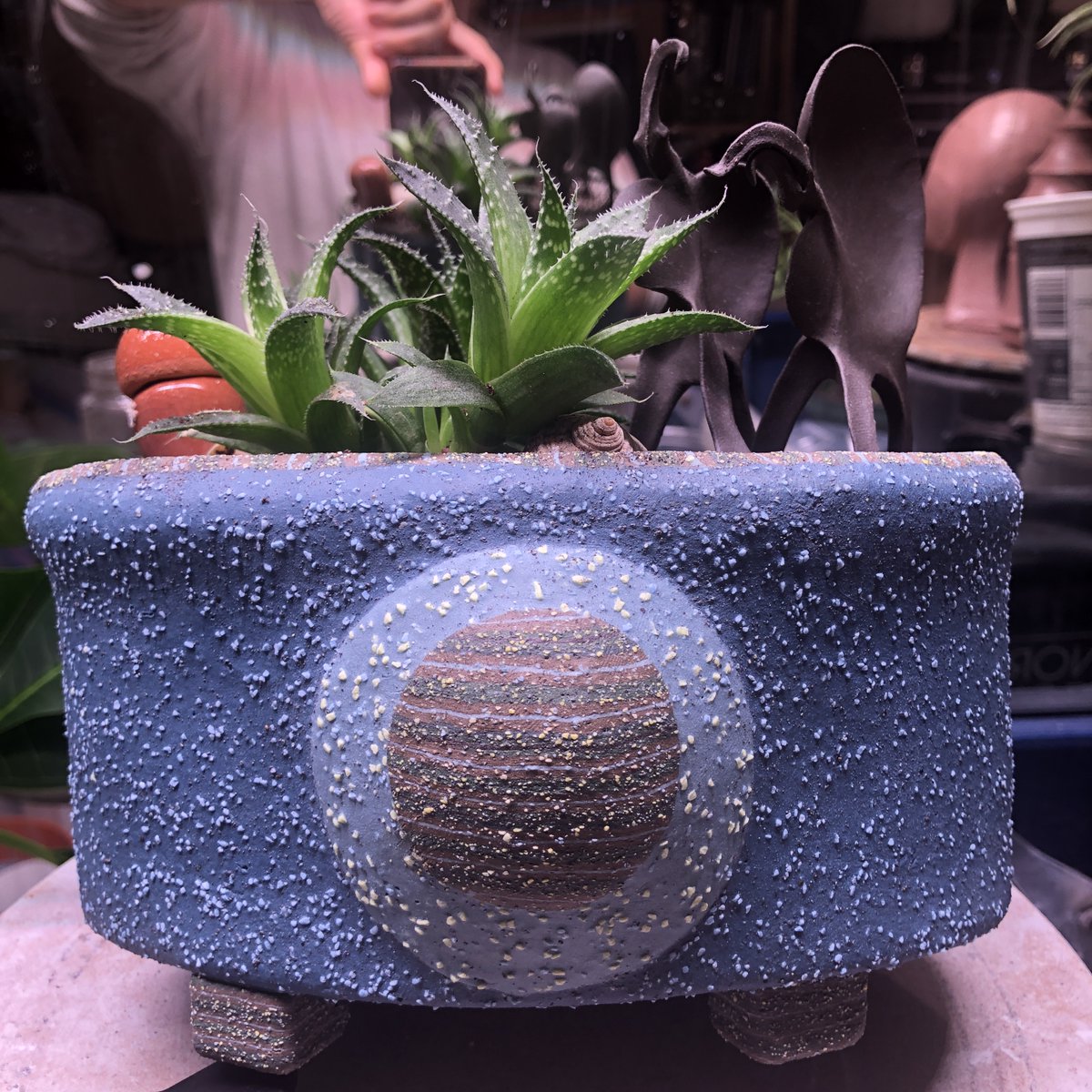 ⓂⒺⓉⒶⓂⓄⓇⓅⒽⒾⒸ ⓃⓊⓂⒺⓇⒶⓁⓈ tweet media