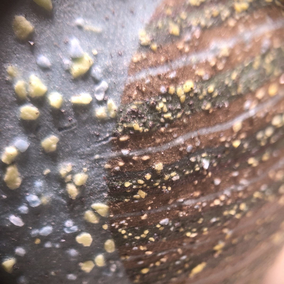 ⓂⒺⓉⒶⓂⓄⓇⓅⒽⒾⒸ ⓃⓊⓂⒺⓇⒶⓁⓈ tweet media