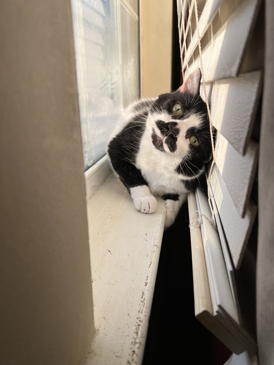 <a href="/AMAZlNGNATURE/">Nature is Amazing ☘️</a> it did and 12yrs later…