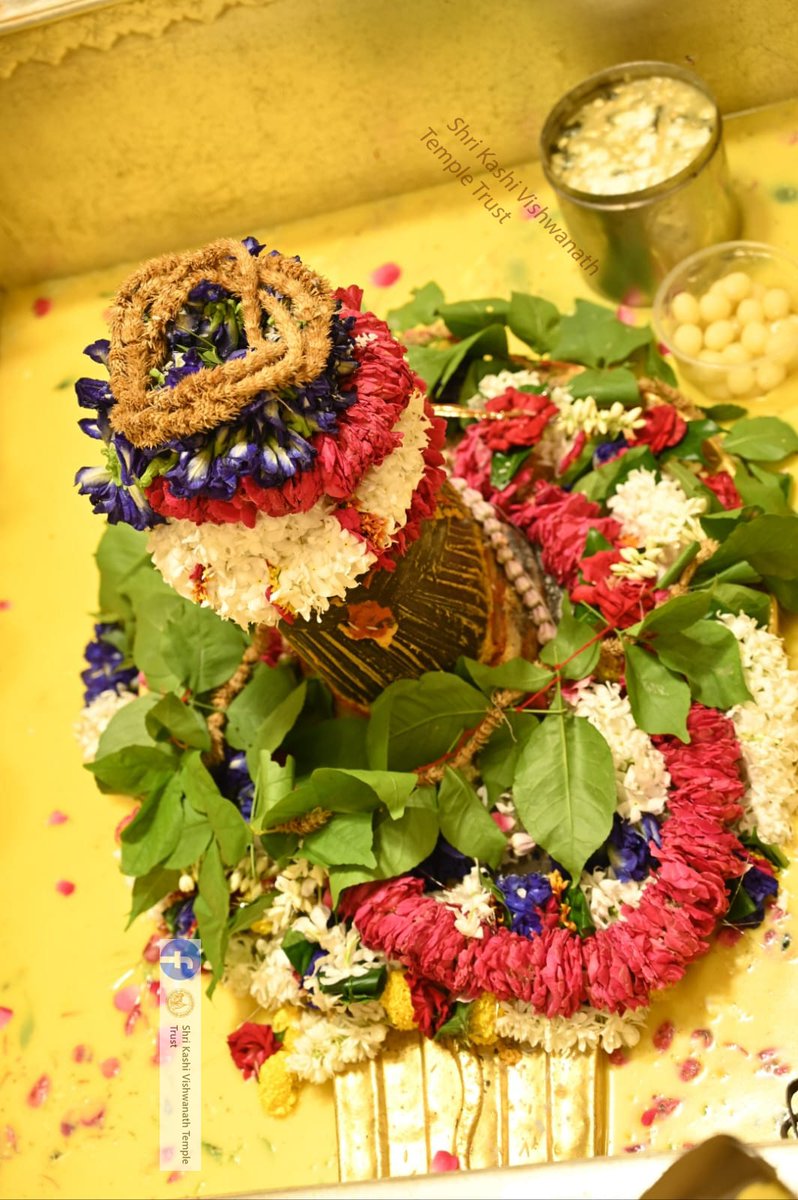 ShriVishwanath's tweet photo. दिनाँक 04-09-2023 को श्री काशी विश्वनाथ मंदिर के सप्तऋषि आरती के दर्शन।  #ShriKashiVishwanath #shiva #mahadev #baba #templespa #darshan #blessings #saptrishi #vishwanath #KashiVishwanathDham https://t.co/AWx4B3HsFV