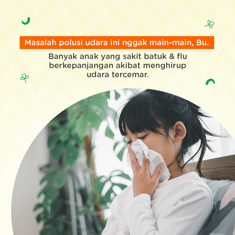 Transpulmin Balsam tweet media