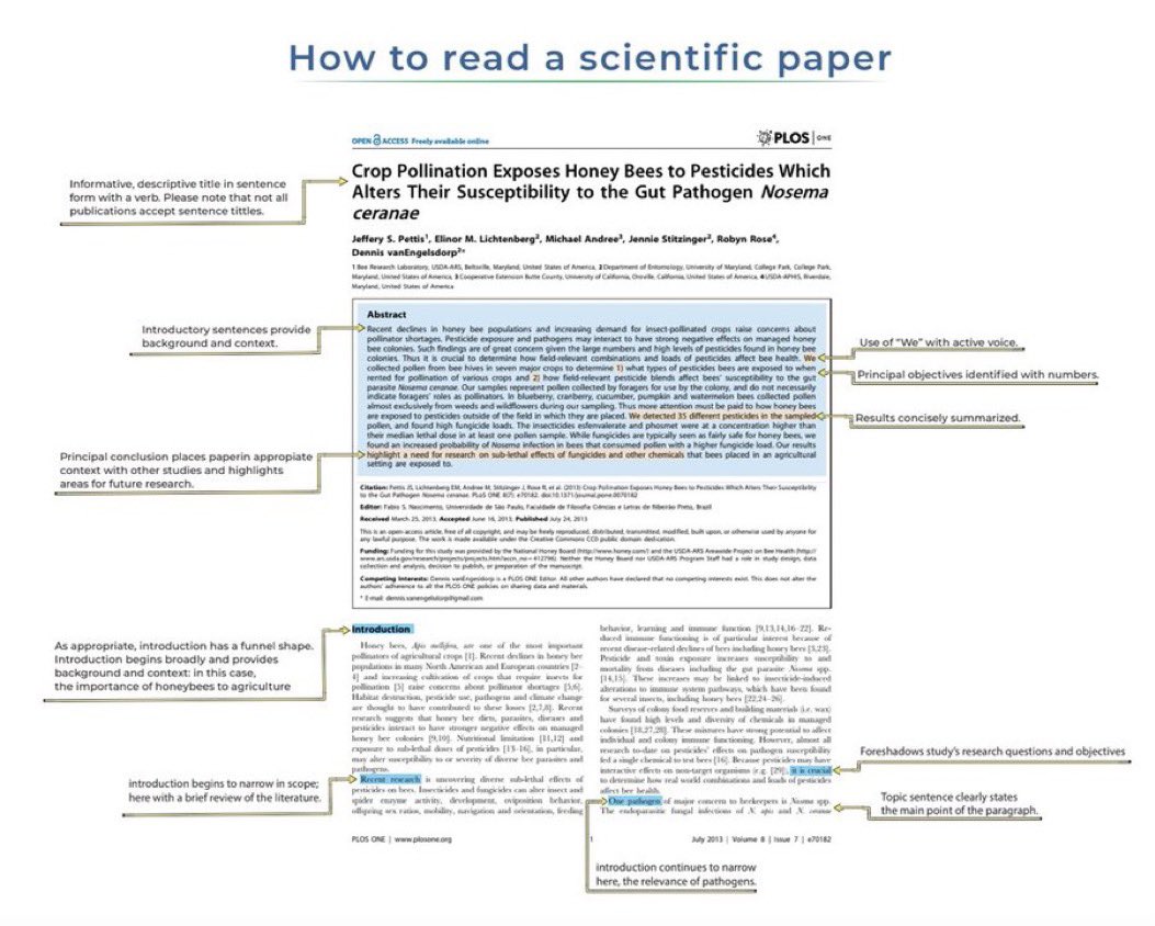 OACerebro's tweet image. 🔍 ¿Perdido al leer artículos científicos? 

😨 ¡No te preocupes! Aquí van algunos consejos para hacerlo súper fácil: 📖✨ #CienciaSencilla #TipsDeInvestigación #Cerebro 

🍁 drive.google.com/file/d/1uYxteB…