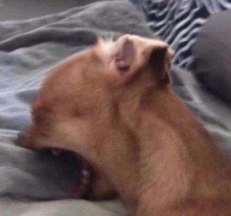 JuanMar64192390's tweet image. TRIPLE HIJUEPUTA NOVELA DE MIERDAAAAA QUE LES COSTABA DEJAR A ROMINA DISFRUTAR CON SU PAPÁ HIJUEPUTAAAAAAASSSS #RominaPoderosa