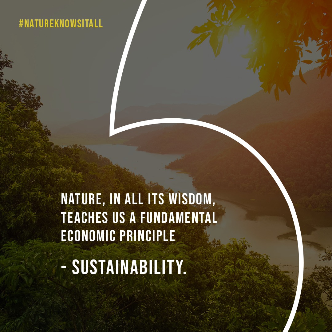 sajikumarwrites's tweet photo. As we celebrate our #teachers and the wisdom of #nature, let's pledge to be responsible stewards of the environment, embracing sustainable practices in our pursuit of a prosperous future. #TeachersDay https://t.co/UWLDsT3ioN https://t.co/RAGAVQLdQh