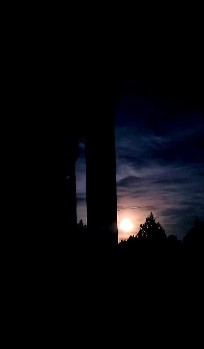 Losdocerobles's tweet image. 🌕Antes de las lluvias que nos ha traído septiembre, disfrutamos de la última súper #Luna del verano.

📍Parque natural de la Sierra Norte de Guadalajara.

👉Se podría ambientar un texto para el Certamen de Relatos Cortos Francisco Martín LARAMI, de la @serrania_guada