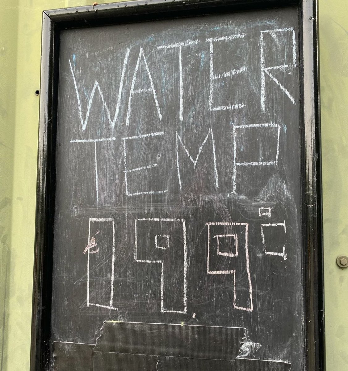 lifeguards tweet media