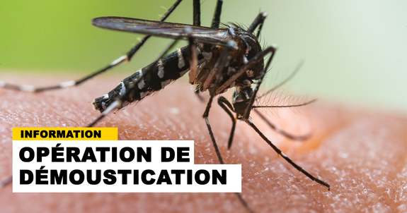VilleColombes's tweet photo. OPÉRATION SPÉCIALE DE DÉMOUSTICATION  
L'agence Régionale de Santé (ARS) a informé la ville  et les riverains concernés de la mise en place d'une opération de  démoustication dans la nuit du 5 au 6 septembre de 23h30 à 2h30.
+ INFOS  https://t.co/d5nfyM2Xri https://t.co/8GaSWLeywu