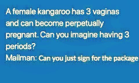 itsme38990270's tweet image. #female #kangaroo #3v