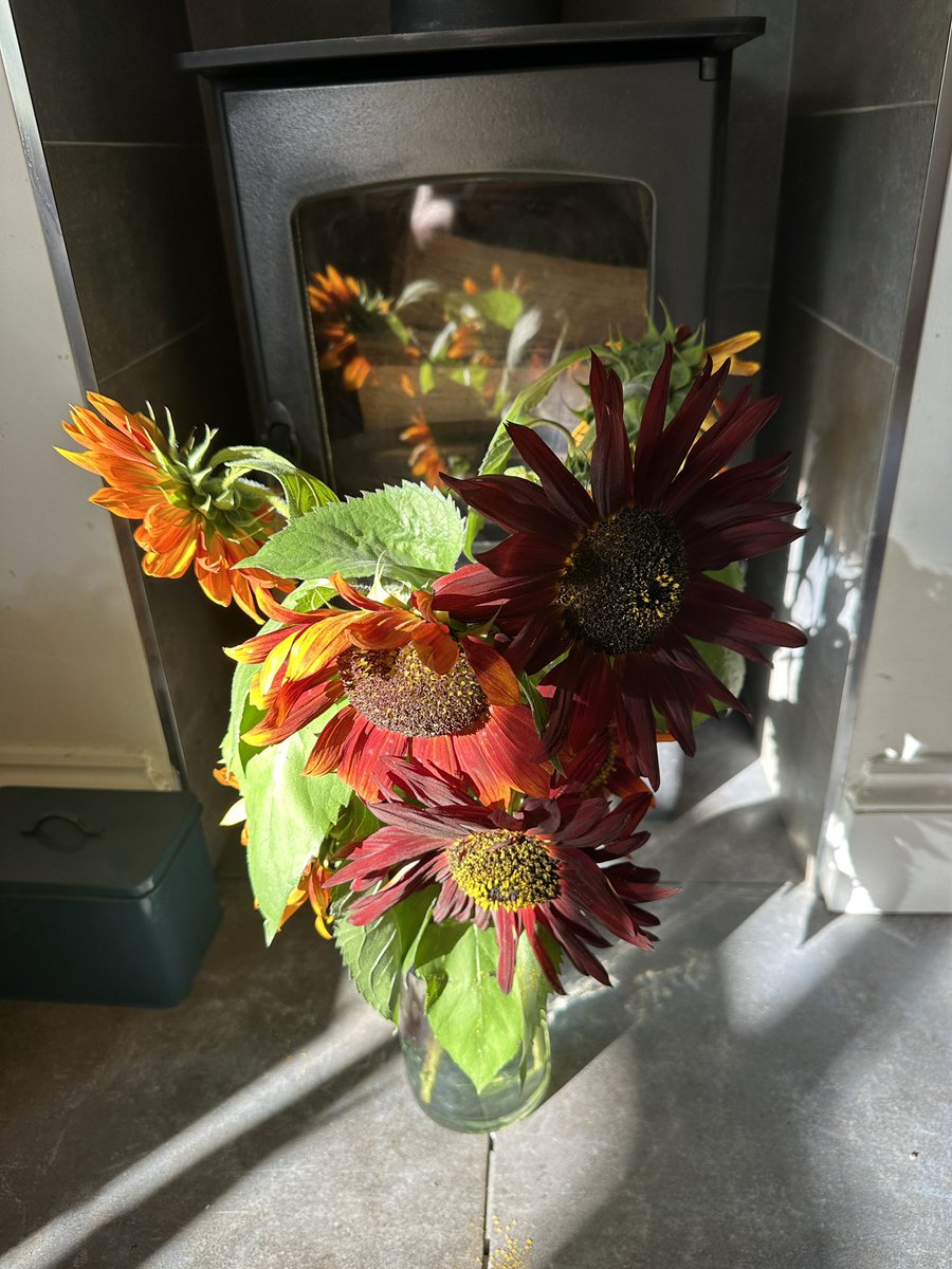 staithesartist's tweet photo. Colours of #Autumn my #briskwalk was round the #garden enjoying the warm sun https://t.co/EnQg8VkcEy