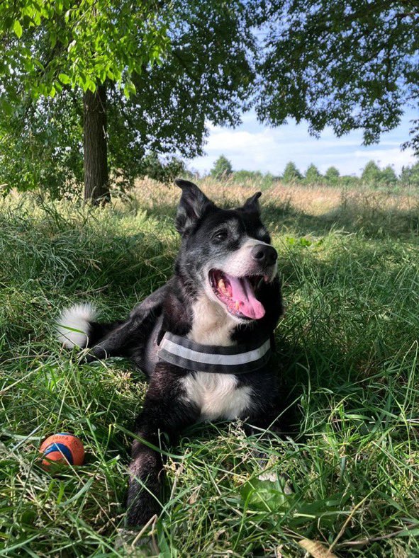 Mishaboar tweet media