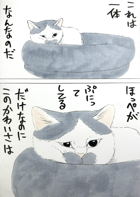 まいにちノリ吉 