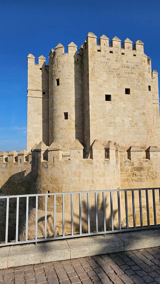 emiliobarredam's tweet image. Buenos días  #PiñaDigital Bien empiezo yo