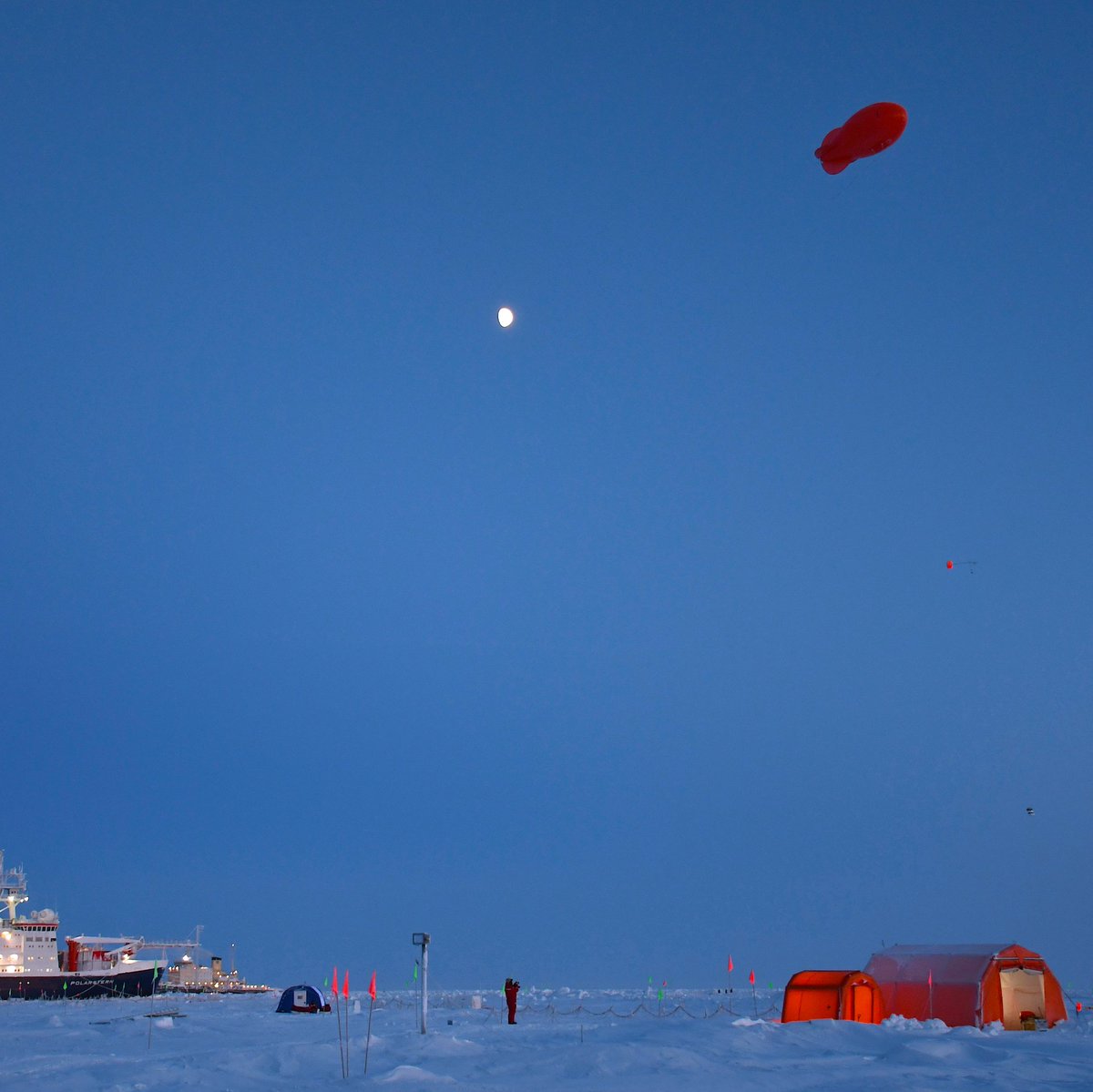 Why is Arctic air warming four times faster than the global average?

The answer could be in the clouds:
🌬️ Winter winds toss up salty snow from sea ice
☁️ Clouds form on the sea salt particles
⛅️ Cloudy conditions trap solar radiation

New paper alert! 🚨
bas.ac.uk/media-post/sea…