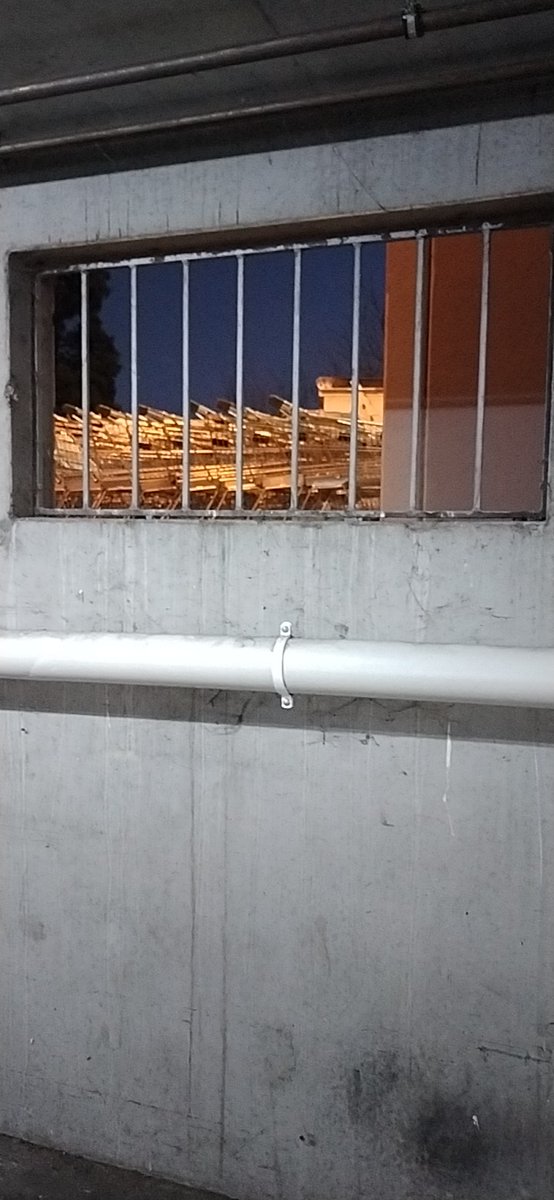 What crime did the shopping trolley do?