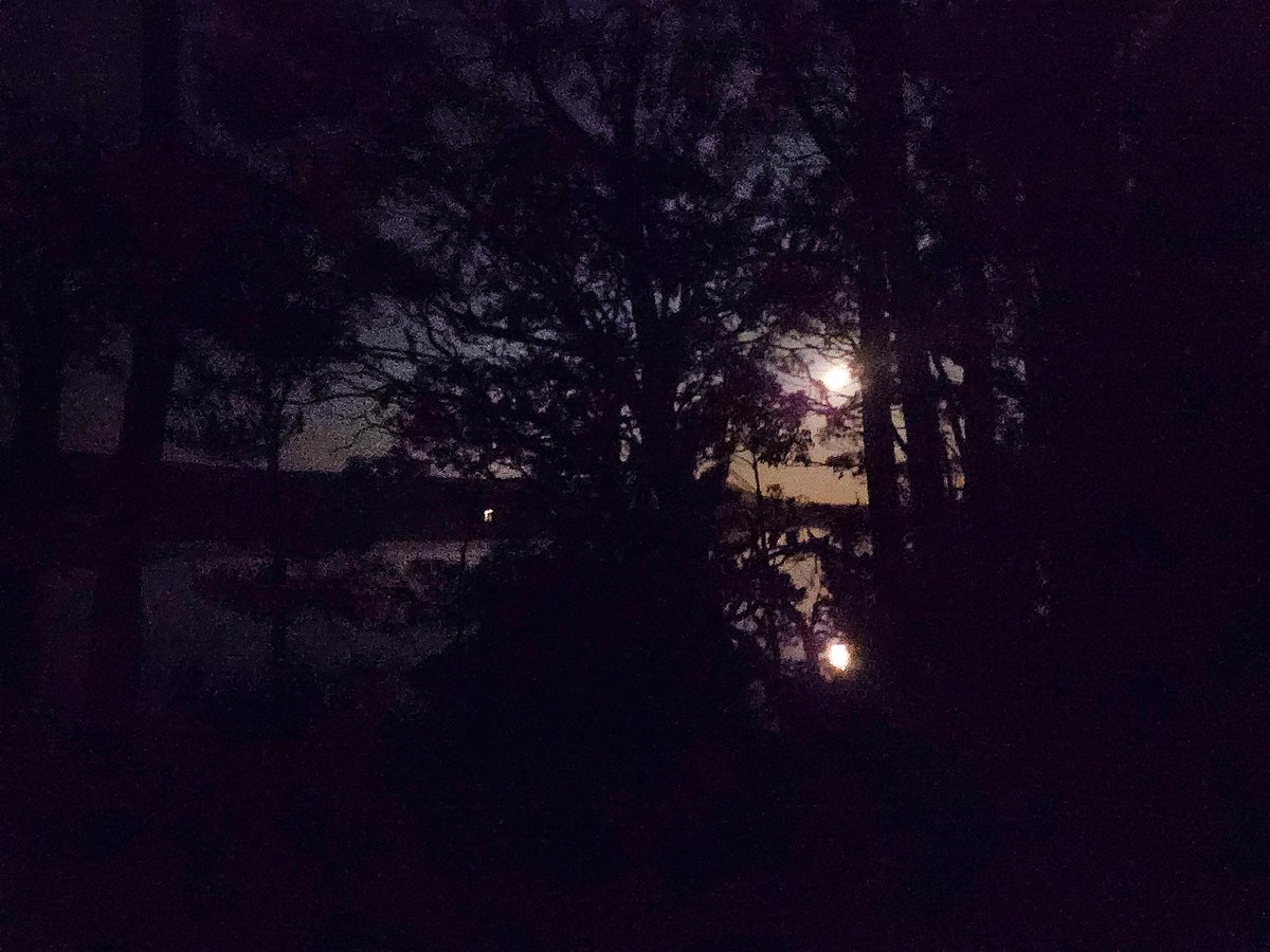 griz1's tweet image. Sunset at #LakeStClair Natl Park #LSCNP @Parks_Australia, nice dinner at #LakeStClairLodge &amp;amp; dark night skies! Love the world map with #tasmania in center! @tasmania @today_tasmania @thefluffa @ParksChat @somanyparks @Australia @Amazing_Maps @simongerman600 #GizaAus23