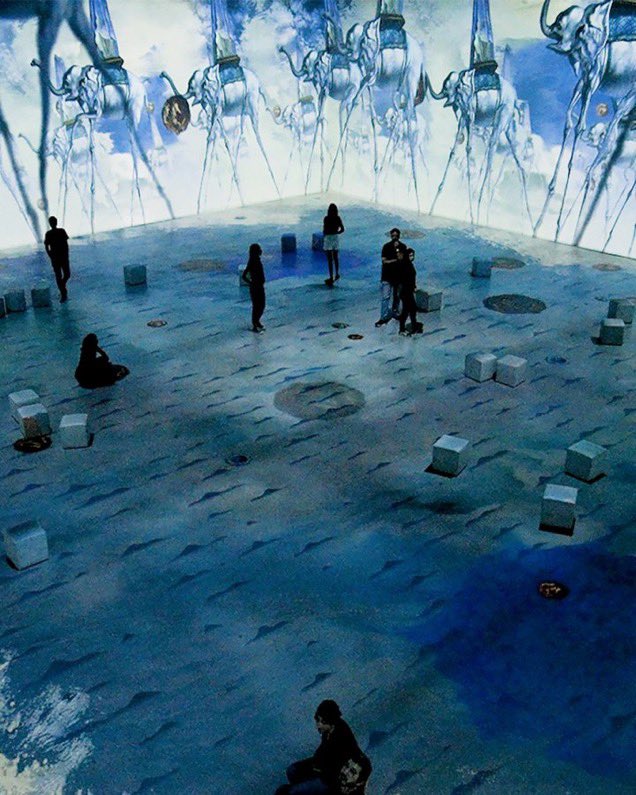 Toni Font tweet media