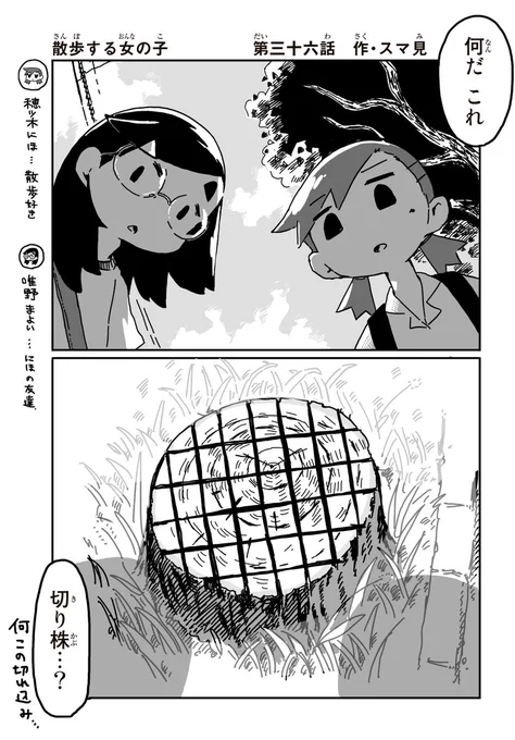 不思議な切り株に関する考察(1/2) 