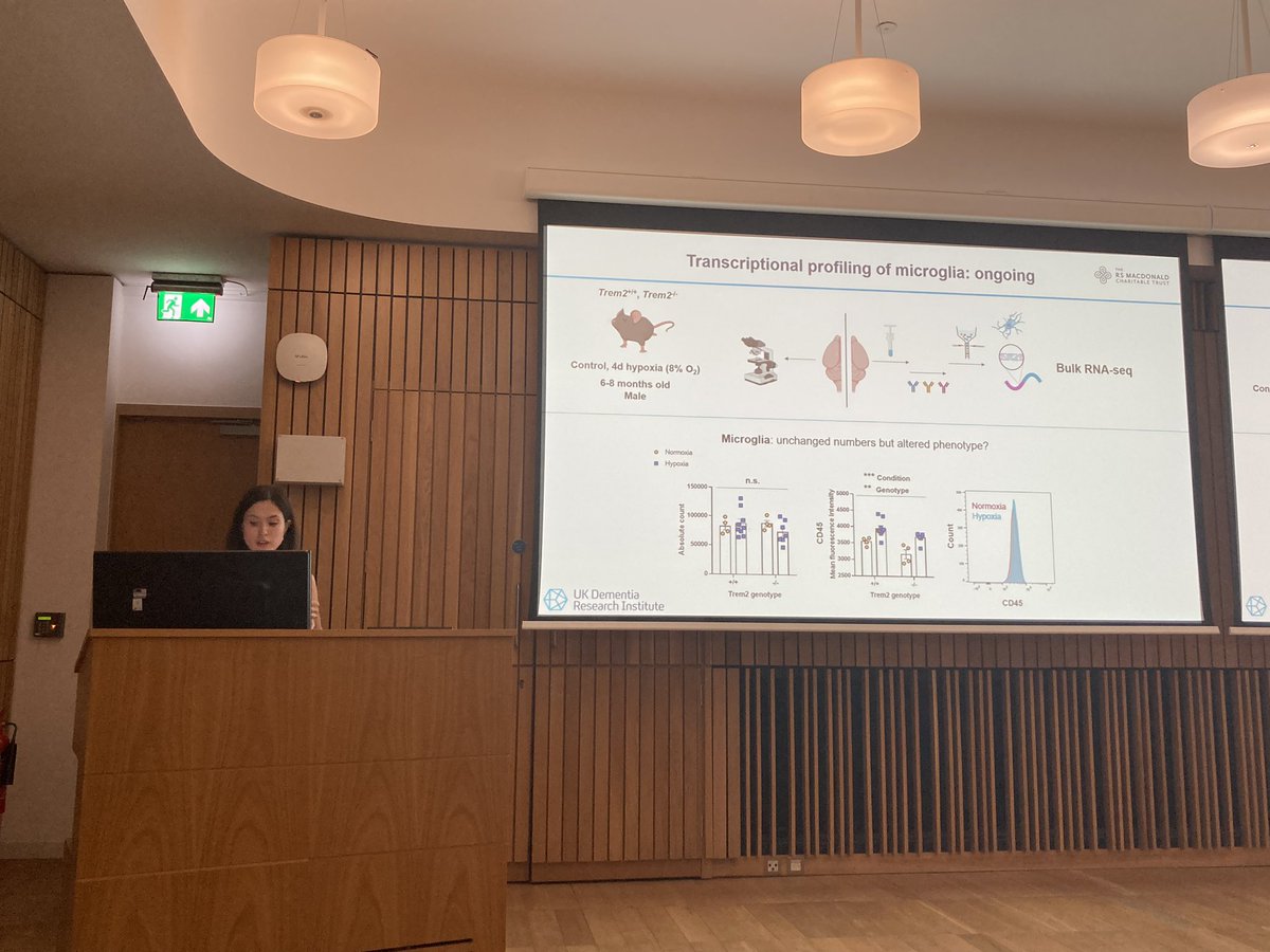 Brilliant talk from @Mila_Redzic at the #Edinburgh 6th PreClinical #Stroke Symposium 👏🏻 The whole McColl lab @EdNiBL is very proud 🥲
