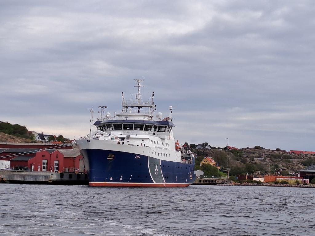 Arctic_COSBAR's tweet photo. Bottom surveys with @rv_svea_slu  in Kattegatt. We record video footage of habitats in trawl impacted vs.  newly established marine protected areas @SLU_aqua #marinescience
#megafauna #benthos 🦀🐚🪸 https://t.co/SFa9C9PKoi