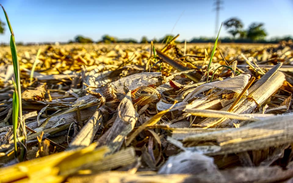 _futurefarm's tweet photo. Did you know that Crop residue management is a crucial aspect of #SustainableAgriculture .Integrating #cropresidue into farming practices aligns with #sustainableprinciples that promote long-term productivity while minimizing negative environmental impacts
#fftuesdaytips #acs2023 https://t.co/vdGg3WwD2z