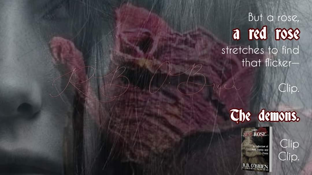 Heather Lane PA tweet media