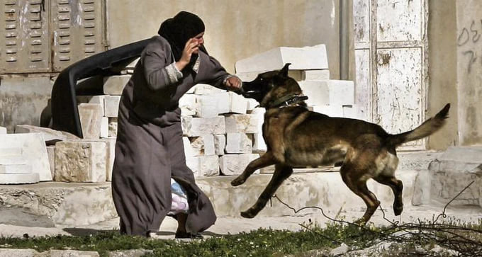 الصورة