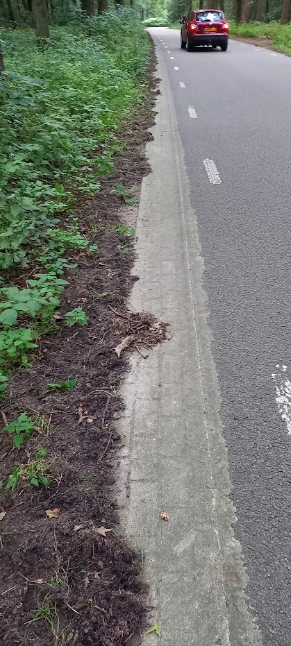 Opgelet: zwijnen in het Kloosterbos in Wapenveld!

Gebruikers van de onverlichte weg door het Kloosterbos moeten opletten. Sinds enkele nachten steken zwijnen via de Kloosterbrug het Apeldoorns kanaal over en struinen door het Kloosterbos.