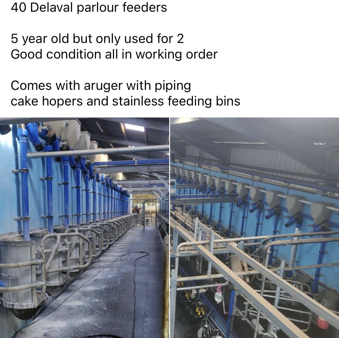 Hannah Vaughan tweet media