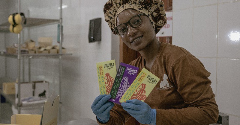 gorillacd's tweet photo. From cocoa-growing to #chocolate making, through packaging and distribution, #VirungaOrigins brings jobs, skills, and #sustainable sources of income to local people, as well as delicious-tasting chocolate directly to your door!⁠

⁠⁠⁠⁠⁠📸  Guerchom Ndebo⁠⁠
