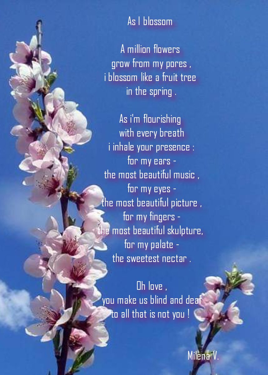 #poetry #poetrylovers #poetrycommunity #poetrytwitter #love #blossom