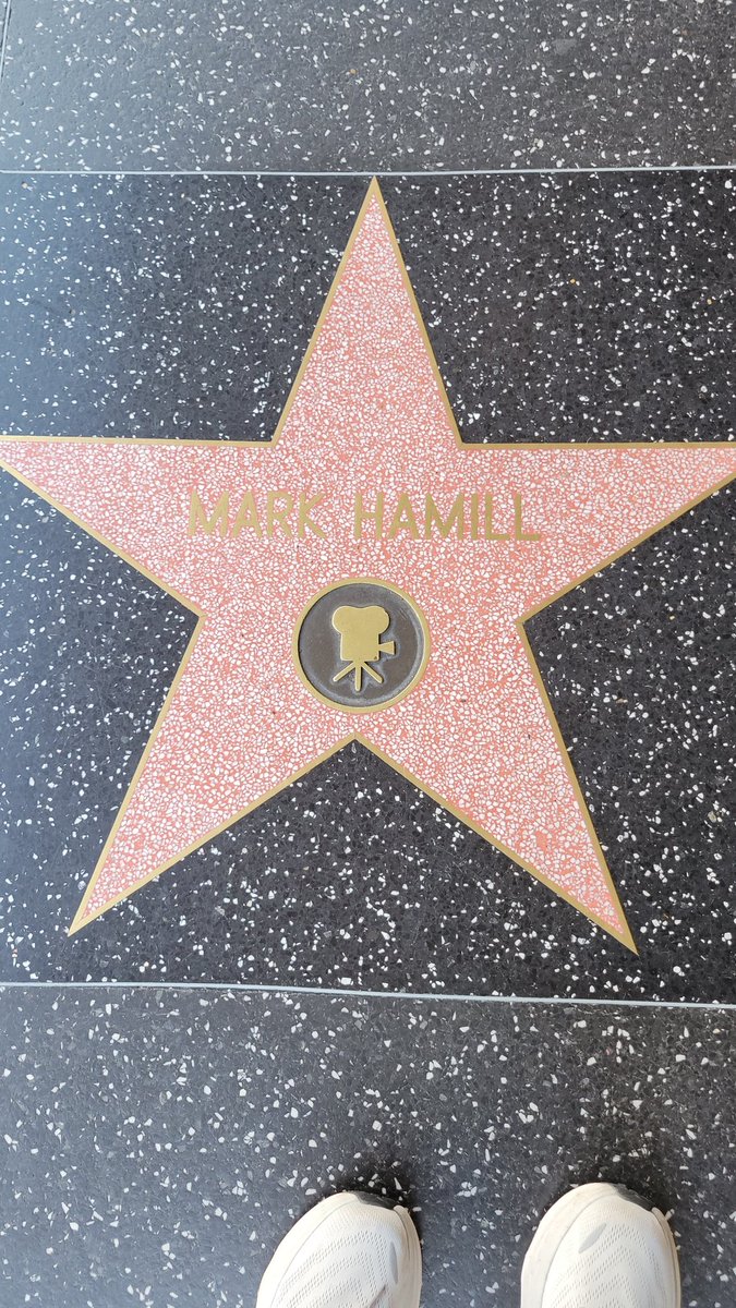 Walka_Walka33's tweet photo. @MarkHamill I found you! https://t.co/GLxoDW1E5F