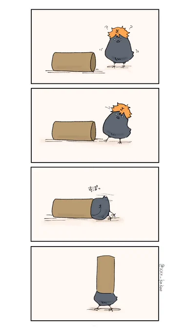 トイレッツのペーパーの芯🧻

#ハイキュー 