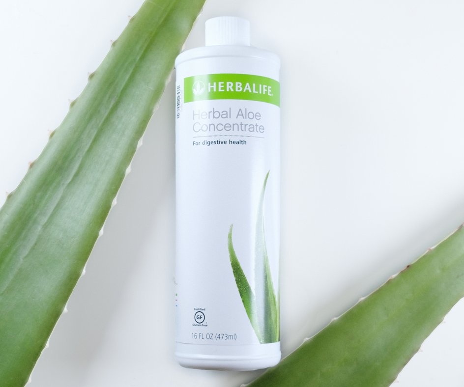 HerbalifeLatino's tweet photo. El Herbal Aloe Concentrado de #Herbalife puedes disfrutarlo con agua o mezclarlo con tu bebida favorita. 💁🏽‍♂️ https://t.co/2rE7H9GuRL