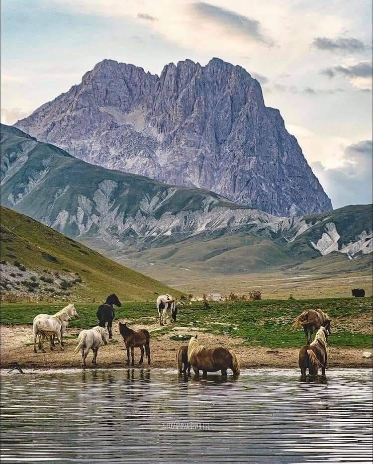 ItalyInTheHeart's tweet photo. 🇮🇹 Campo Imperatore, L'Aquila, Abruzzo
📷 Giovanni Ippoliti

#campoimperatore #emperorsfield #laquila #abruzzo #montagna #mountain #beststartofday #beautiful #instagood #photooftheday #travel #travelplace #travelphoto #italy #italytrip #italytravel #italia #italyintheheart https://t.co/O9sfBxVekK