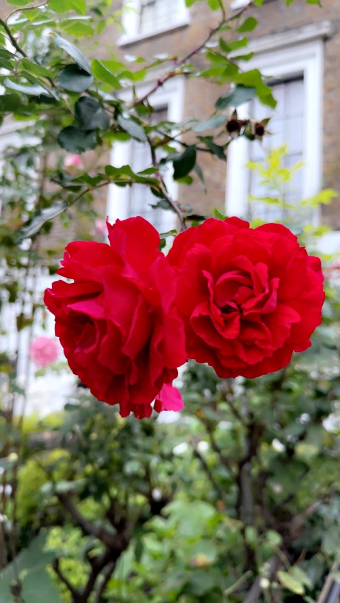 '

اللهم صباح يحمل تباشير
السعادة والفرح

صباح السعادة 🌼